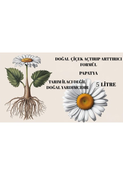 Doğal Çiçek Açtırıp Arttırıcı Formül(Papatya) fiyatları