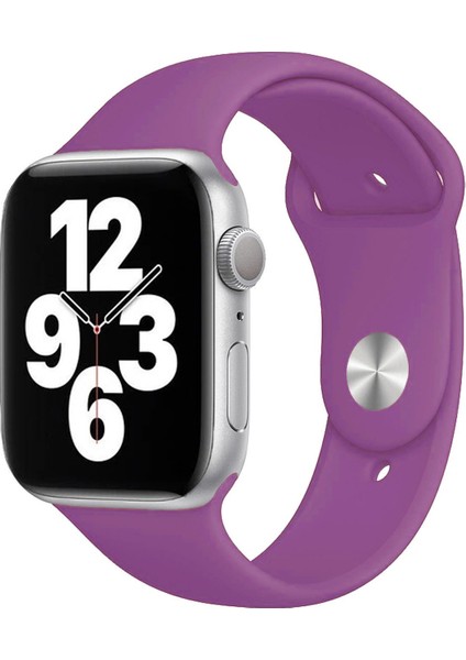 Apple Watch Series SE/10/9/8/7/6/5/4/3 46mm-45mm-44mm-42mm Uyumlu M/L Silikon Kordon Mor