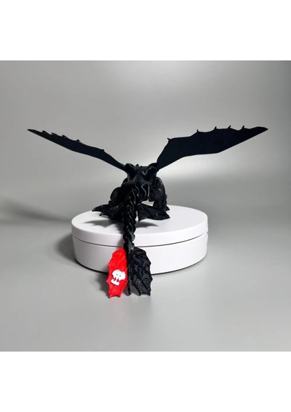 Ejderhanı Nasıl Eğitirsin? Gecenin Öfkesi Siyah Ejderha Toothless Dişsiz