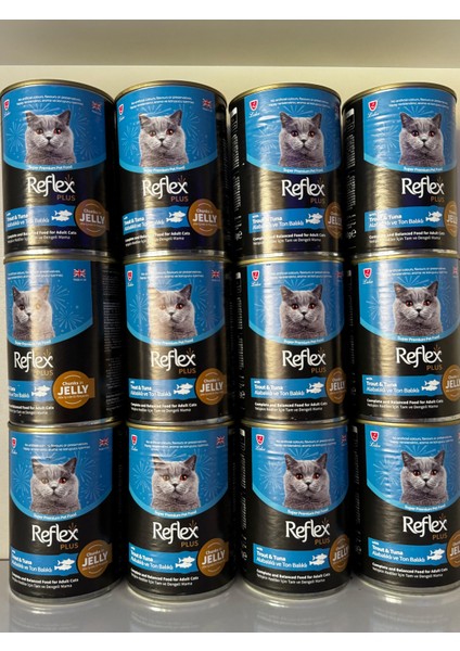 Plus 12 Li Alabalıklı ve Ton Balıklı Yetişkin Kedi Konserve Maması