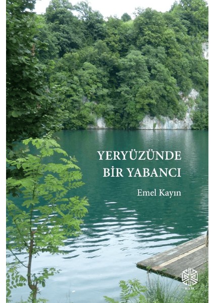 Yeryüzünde Bir Yabancı