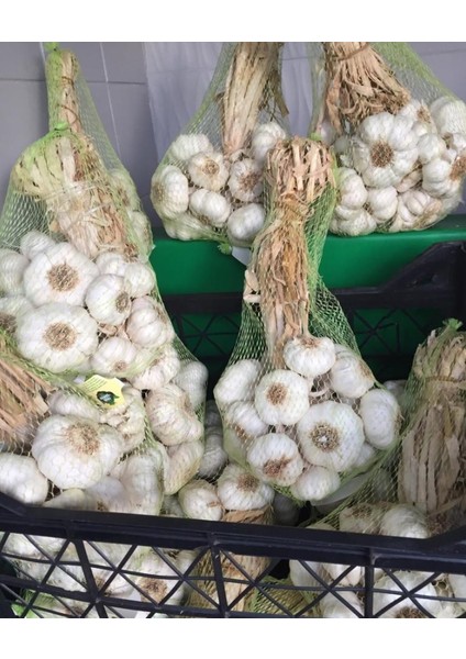 Kuruyemiş Filesi, Meyve –Sebze Filesi, Promosyon Ürün Filesi, 35 cm kesilmiş, altı mühürlenerek yapıştırılmış, 100 Adet File ve Cırt Klips, Şeffaf Renkli.