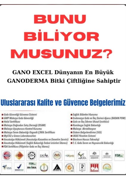 Sıcak Çikolata