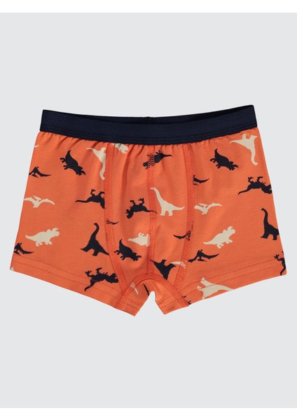 Erkek Çocuk 2'li Boxer Set 2-10 Yaş Turuncu fırsatları