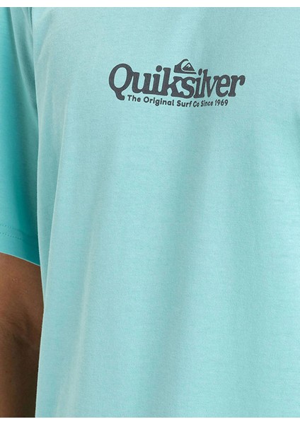 EQYZT08062 Fınelıne Ss Yeşil Bisiklet Yaka Normal Kalıp Erkek T-Shirt modelleri