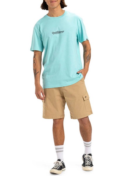 EQYZT08062 Fınelıne Ss Yeşil Bisiklet Yaka Normal Kalıp Erkek T-Shirt fırsatları