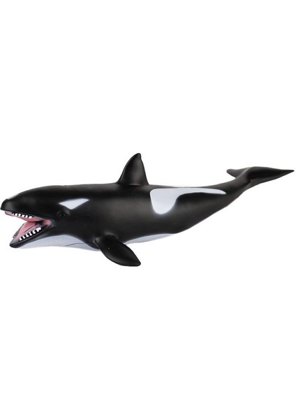 JQ-008B Deniz Hayvanları -Gepettoys