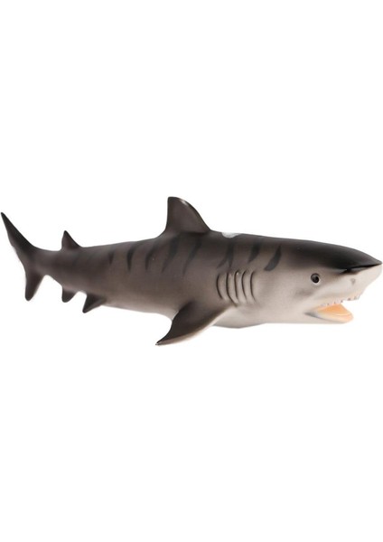 JQ-008B Deniz Hayvanları -Gepettoys