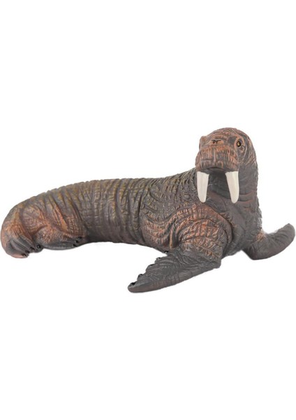 JQ-008B Deniz Hayvanları -Gepettoys