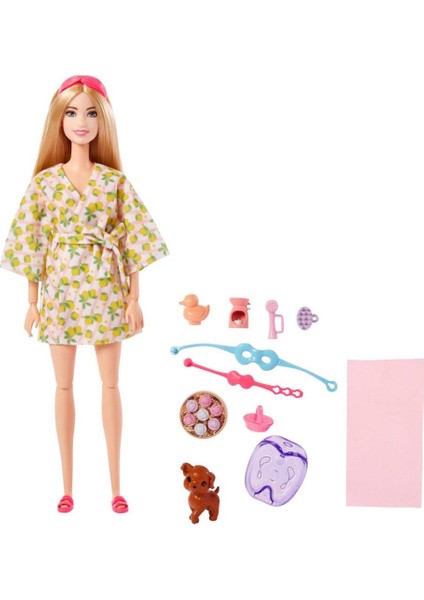 HKT90 Barbie Wellness - Spa Günü Sarışın Bebek fiyatları