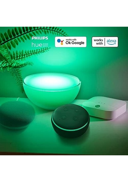 Ac-Ps-Eu Sync Alarm Akıllı Priz - Sync Akıllı Ev Alarmı ile Çalışır - Yale Home Uygulamasıyla Kontrol Imkanı