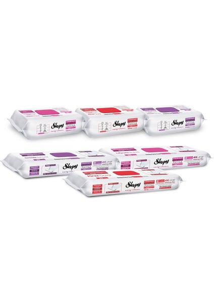 Easy Clean Çiçek Serisi 3X100 Yüzey & 3X20 Yer Temizlik Havlusu&mendili Karma Paket