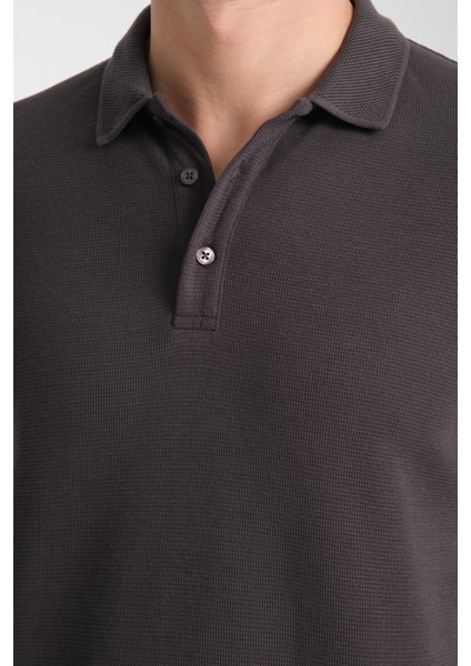 2861 Monza Erkek Antrasit Regular Fit %100 Pamuk Waffle Polo Yaka T-Shirt