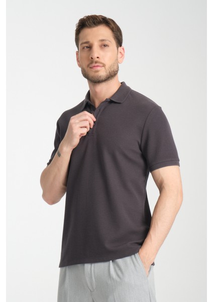 2861 Monza Erkek Antrasit Regular Fit %100 Pamuk Waffle Polo Yaka T-Shirt fiyatları