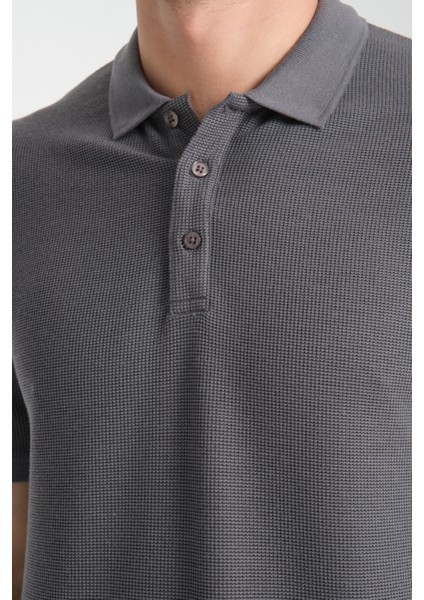 2862 Boston Erkek Gri Regular Fit %100 Pamuk Esneyen Kumaş Polo Yaka T-Shirt