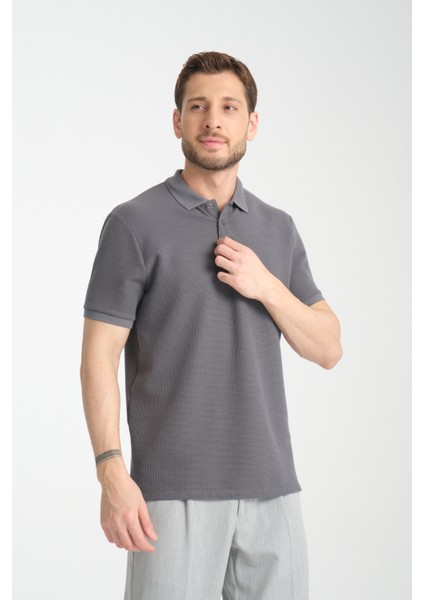 2862 Boston Erkek Gri Regular Fit %100 Pamuk Esneyen Kumaş Polo Yaka T-Shirt fiyatları