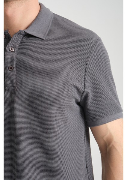 2862 Boston Erkek Gri Regular Fit %100 Pamuk Esneyen Kumaş Polo Yaka T-Shirt modelleri