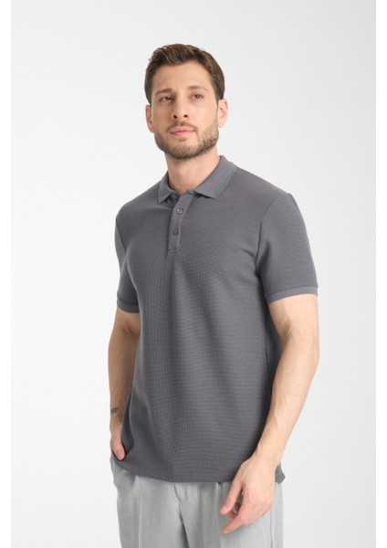 2862 Boston Erkek Gri Regular Fit %100 Pamuk Esneyen Kumaş Polo Yaka T-Shirt fırsatları
