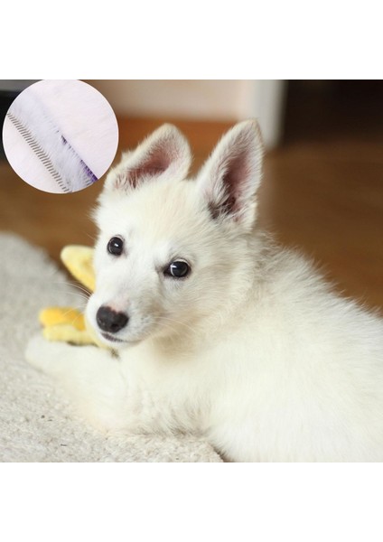 Büro Ev Evcil Hayvanı Için Metal Renkli Köpek Pire Tarağı modelleri