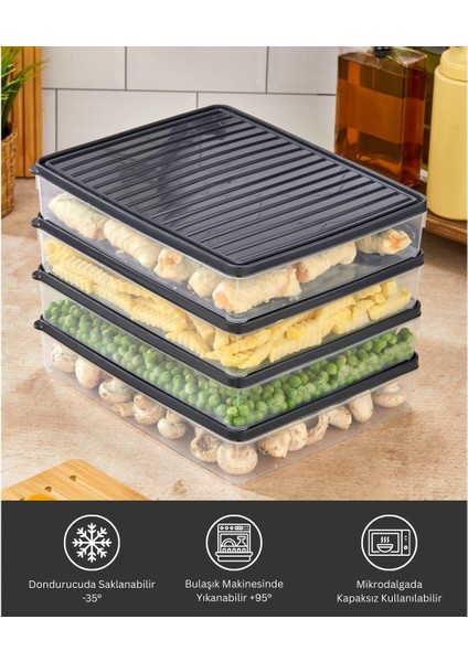 BGMT2525 4'lü Şeffaf Saklama Kabı 4x2,5 Lt Mikrodalga Buzdolabı ve Dondurucu Uyumlu düzenleyici fiyatları