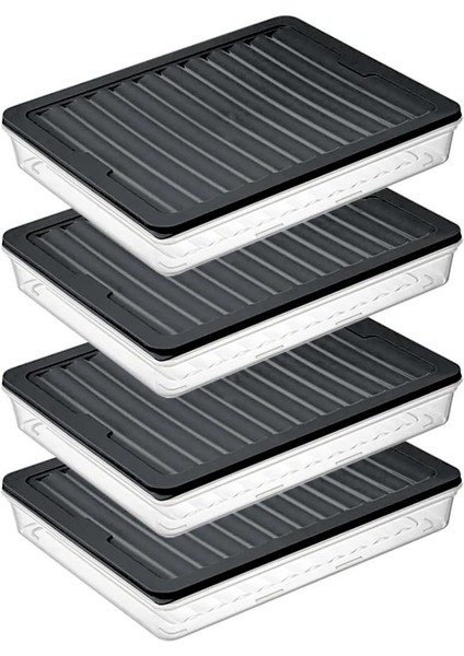 BGMT2525 4'lü Şeffaf Saklama Kabı 4x2,5 Lt Mikrodalga Buzdolabı ve Dondurucu Uyumlu düzenleyici indirimleri