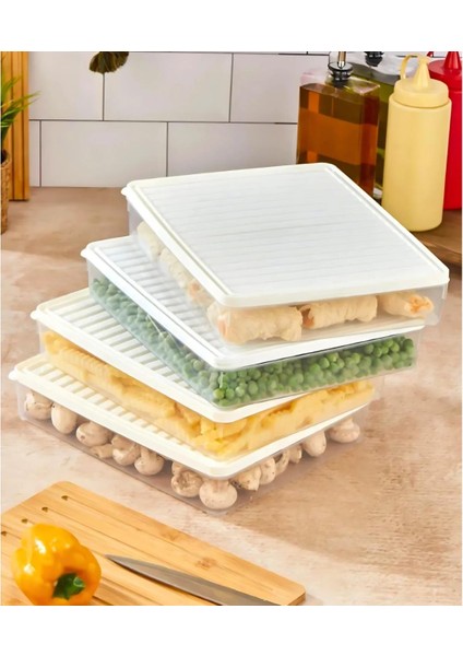 BGMT2525 4'lü Şeffaf Saklama Kabı 4x2,5 Lt Mikrodalga Buzdolabı ve Dondurucu Uyumlu düzenleyici modelleri