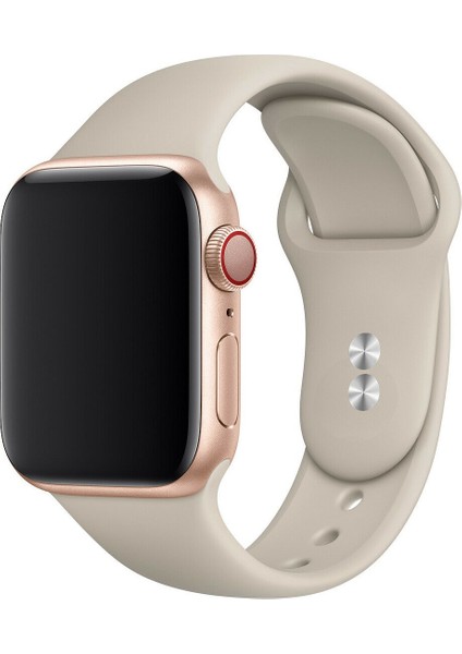 Apple Watch Uyumlu 42/44/45/49 Mm Seri 1/2/3/4/5/6/se/7/8/9 ULTRA Ve 46mm Seri 10 Silikon Kordon