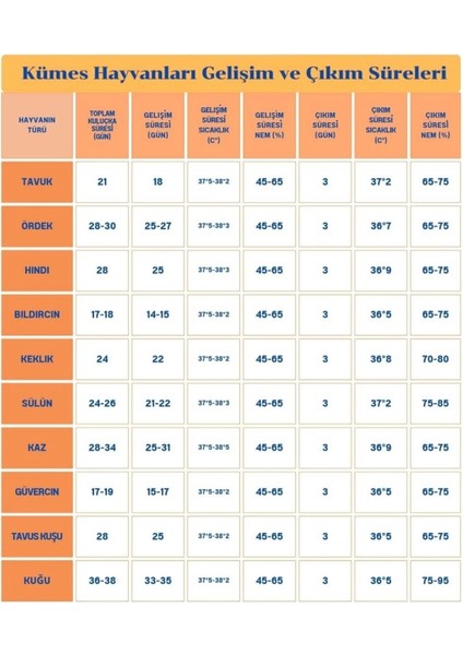 60 Yumurta Kapasiteli Tam Otomatik Kuluçka Makinesi - Civciv, Kaz, Hindi ve Ördek Yetiştiriciliği EPO-W60 fırsatları