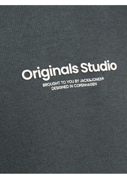 Erkek Çocuk Kapüşonlu Sweatshirt