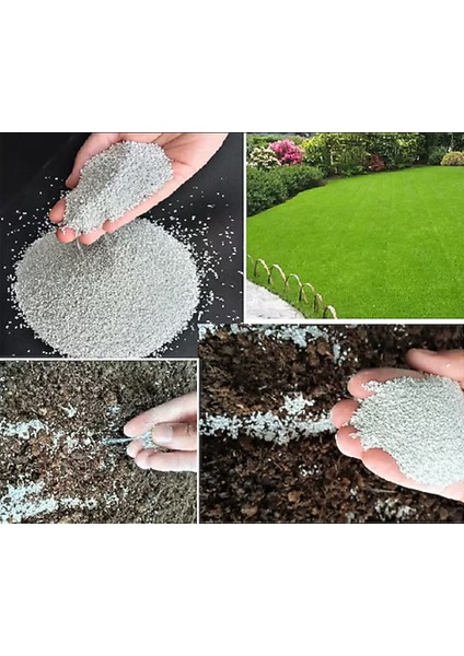 Bermuda Grass Ithal Çim Tohumu 500 gr fiyatları