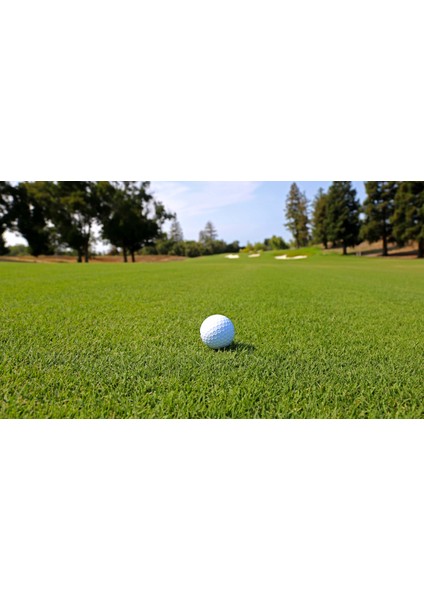 Bermuda Grass Ithal Çim Tohumu 500 gr modelleri