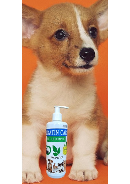 Alwag Keratın Care Pet (Kedi &köpek) Shampoo Vegan Silikonsuz, Parabensiz Şampuan 400 ml modelleri
