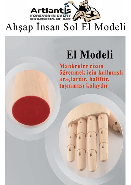 Ahşap Sol El Modeli 30 cm 1 Adet Sol El Maketi Erkek Ahşap Manken Sol El Parmak Model Hareketli Esnek Eskiz Çizim Boyama indirimleri
