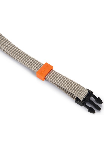 Köpek Boyun Tasması, Açık Gri, 20-30cm