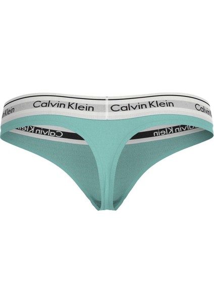 Kadın Mavi Tanga 0000F3786E fiyatları