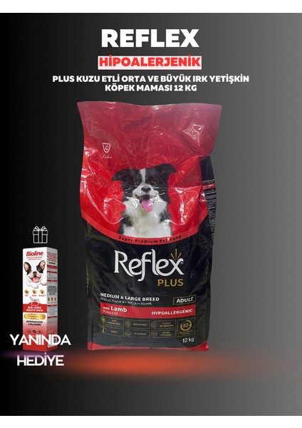 Hipoalerjenik Kuzu Etli Orta ve Büyük Irk Yetişkin Köpek Maması 12 kg - Vitamin Hediyeli