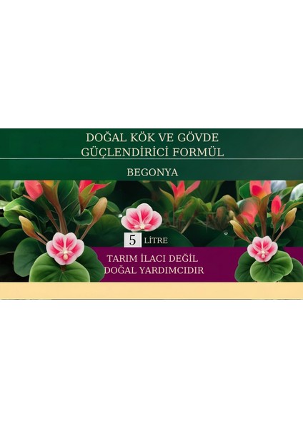 Doğal Kök ve Gövde Formül(Begonya) fiyatları