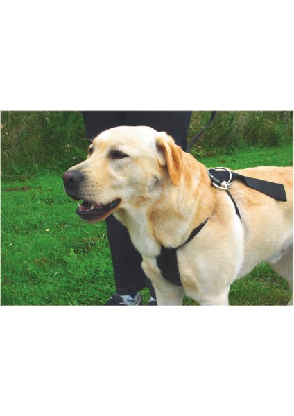 Köpek Araç Içi Göğüs Tasması, Siyah, 70-75CM Göğüs Çapı, 25MM fiyatları