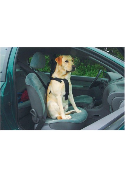 Köpek Araç Içi Göğüs Tasması, Siyah, 70-75CM Göğüs Çapı, 25MM modelleri