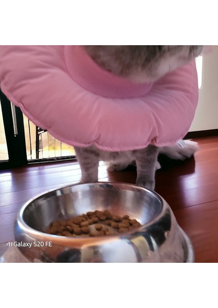 Kedi ve Köpek Yakalığı Elizabeth Yakalık Ameliyat Sonrası Koruyucu Yakalık