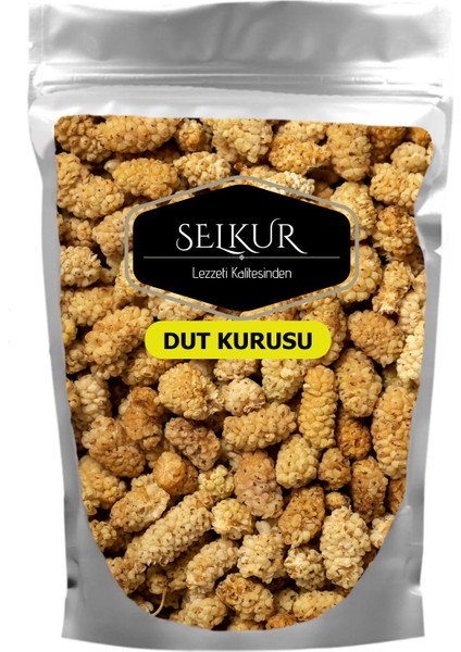 Kuru Dut 100gr Dut Kurusu (Doğal Kurutulmuş,katkısız)