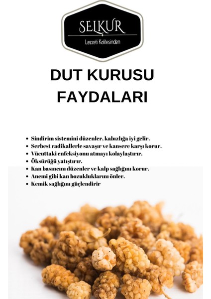 Kuru Dut 100gr Dut Kurusu (Doğal Kurutulmuş,katkısız)