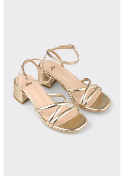 Lame Kadın Günlük Sandalet fiyatları