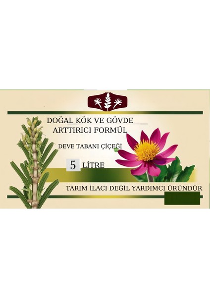 Doğal Kök ve Gövde Formül(Deve Tabanı Çiçeği)