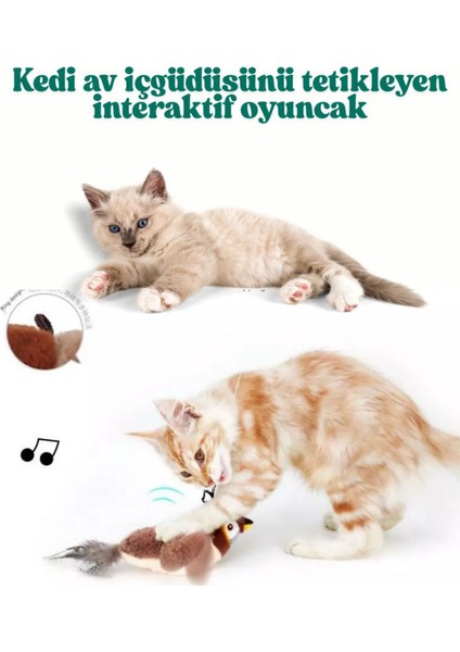 Şarjlı Peluş Kuş Oyuncak Kanat Çırpan Kuş fırsatları