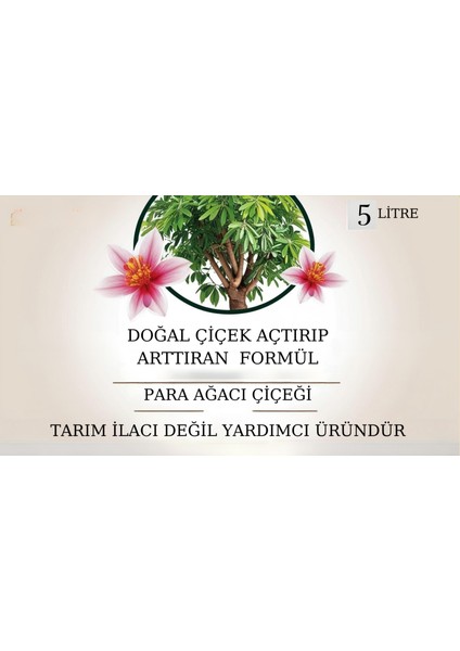 Doğal Çiçek Açtırıp Arttırıcı Formül(Para Ağacı Çiçeği)