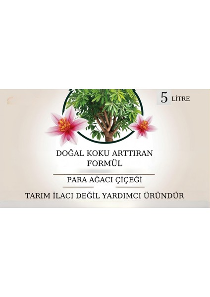 Doğal Koku Arttırıcı Formül(Para Ağacı Çiçeği) fiyatları