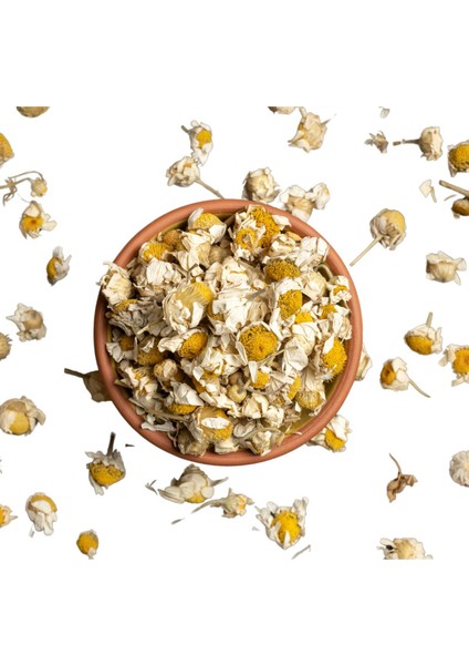 Papatya Çayı, Daisy, Matricaria Recutita 50GR