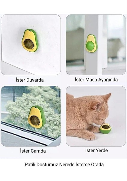 Doğal Catnipli Yenilebilir Dönen Kedi Nanesi Otu Oyun Topu Top Oyuncak Kedi Yalama Topu Avokado
