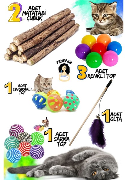 Luxury 8'li Set: 2 Adet Matatabi Çubuk + Sarma Topu+3'lü Renkli Top+ Kedi Oltası+Çıngıraklı Top 1 Adet fırsatları